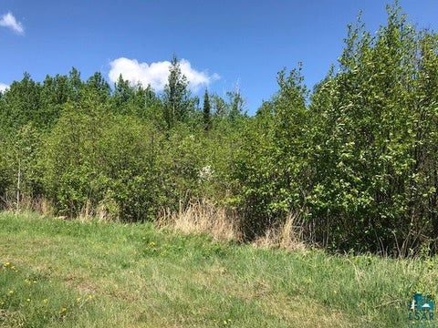 Tiny photo for XX W 5th St, Grand Marais, MN 55604 (MLS # 6128303)