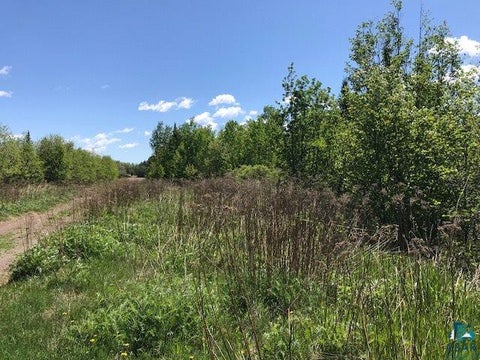 Tiny photo for XX W 5th St, Grand Marais, MN 55604 (MLS # 6128303)