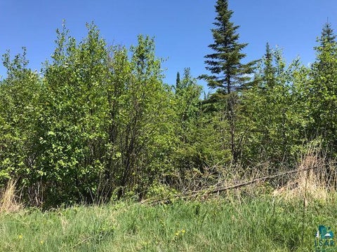 Photo of XX W 5th St, Grand Marais, MN 55604 (MLS # 6128303)