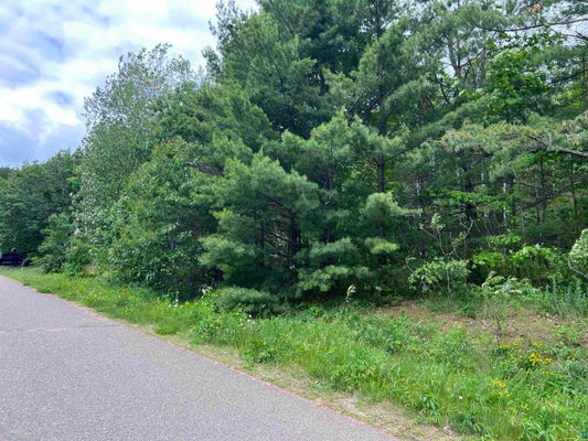 XXX RICE AVE, BAYFIELD, WI 54814 - Image 92cd133cd6e246e6b4f4fed6cb4edcf0/1890548394
