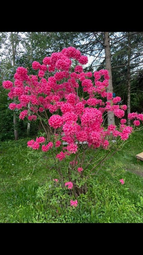 Tiny photo for 4964 Woodland Ave, Duluth, MN 55803 (MLS # 6123458)