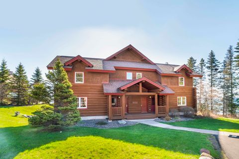 Tiny photo for 2826 Highway 61 #390, Two Harbors, MN 55616 (MLS # 6122644)