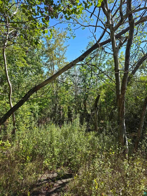 Tiny photo for 8 W 1st St, Duluth, MN 55806 (MLS # 6128224)