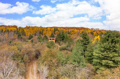 Tiny photo for 6264 Ryan Rd, Duluth, MN 55804 (MLS # 6122525)