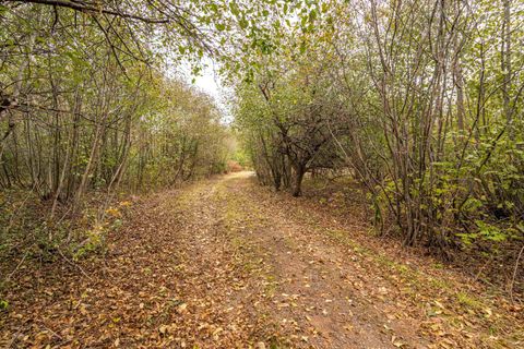 Tiny photo for 6264 Ryan Rd, Duluth, MN 55804 (MLS # 6122525)