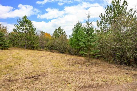 Tiny photo for 6264 Ryan Rd, Duluth, MN 55804 (MLS # 6122525)