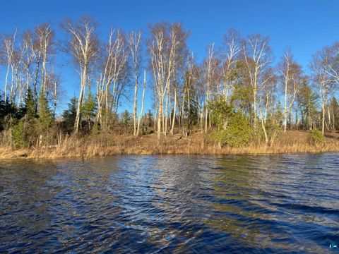 Photo of 21024 N Bear Lake Rd, Brimson, MN 55602 (MLS # 6125394)