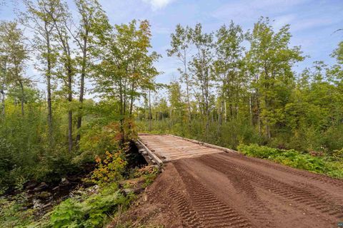 Tiny photo for 2911 Clark Rd, Two Harbors, MN 55616 (MLS # 6124244)