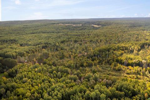 Tiny photo for 2911 Clark Rd, Two Harbors, MN 55616 (MLS # 6124244)