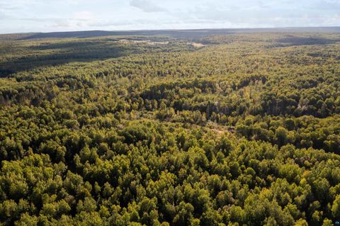 Tiny photo for 2911 Clark Rd, Two Harbors, MN 55616 (MLS # 6124244)