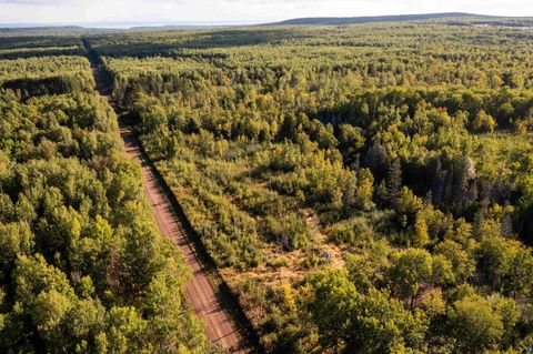 Tiny photo for 2911 Clark Rd, Two Harbors, MN 55616 (MLS # 6124244)