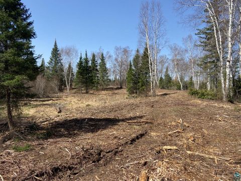 Tiny photo for 21026 N Bear Lake Rd, Brimson, MN 55602 (MLS # 6125397)
