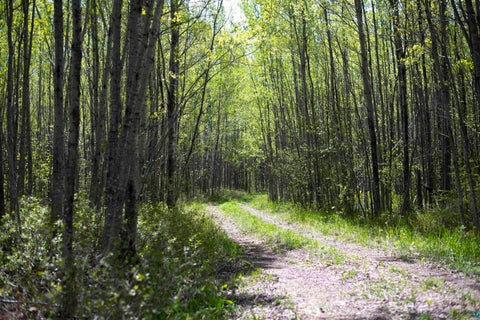 Tiny photo for 13 Coyote Ridge, Grand Marais, MN 55604 (MLS # 6125773)