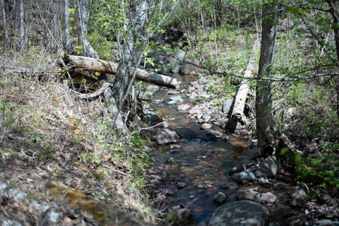 Tiny photo for 13 Coyote Ridge, Grand Marais, MN 55604 (MLS # 6125773)