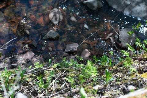 Tiny photo for 13 Coyote Ridge, Grand Marais, MN 55604 (MLS # 6125773)