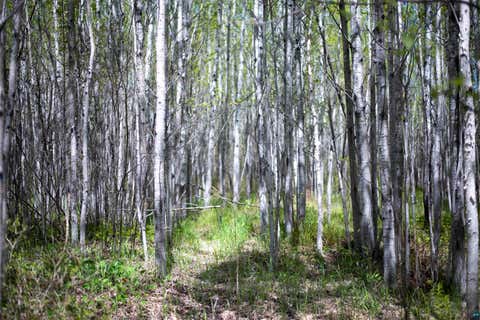 Tiny photo for 13 Coyote Ridge, Grand Marais, MN 55604 (MLS # 6125773)