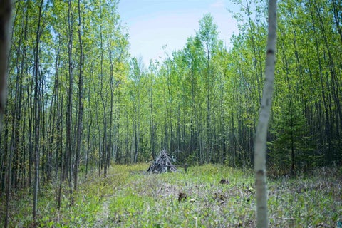 Tiny photo for 13 Coyote Ridge, Grand Marais, MN 55604 (MLS # 6125773)