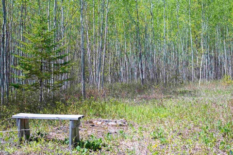 Tiny photo for 13 Coyote Ridge, Grand Marais, MN 55604 (MLS # 6125773)