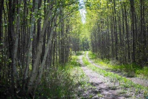 Photo of 13 Coyote Ridge, Grand Marais, MN 55604 (MLS # 6125773)
