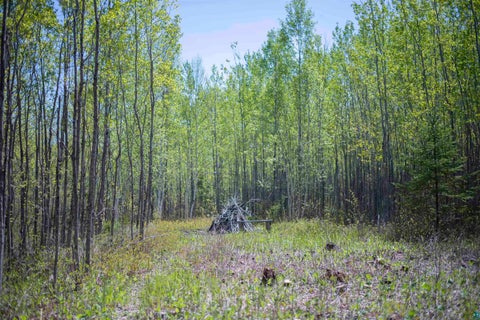 Tiny photo for 13 Coyote Ridge, Grand Marais, MN 55604 (MLS # 6125773)