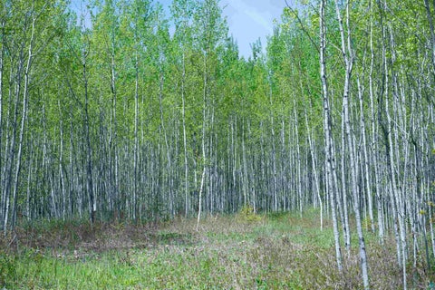 Tiny photo for 13 Coyote Ridge, Grand Marais, MN 55604 (MLS # 6125773)