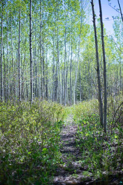 Tiny photo for 13 Coyote Ridge, Grand Marais, MN 55604 (MLS # 6125773)