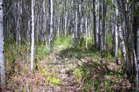 Tiny photo for 13 Coyote Ridge, Grand Marais, MN 55604 (MLS # 6125773)