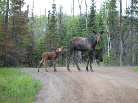 Tiny photo for 185 Sag Lake Tr, Grand Marais, MN 55604 (MLS # 6123462)