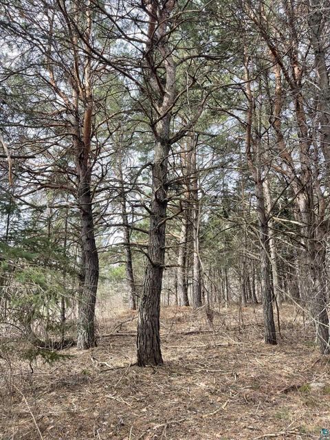 Tiny photo for 1572 Town Line Rd, Brimson, MN 55602 (MLS # 6125250)