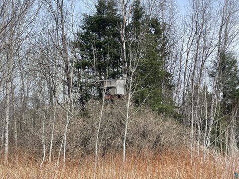Tiny photo for 1572 Town Line Rd, Brimson, MN 55602 (MLS # 6125250)