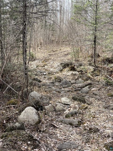 Tiny photo for 1572 Town Line Rd, Brimson, MN 55602 (MLS # 6125250)