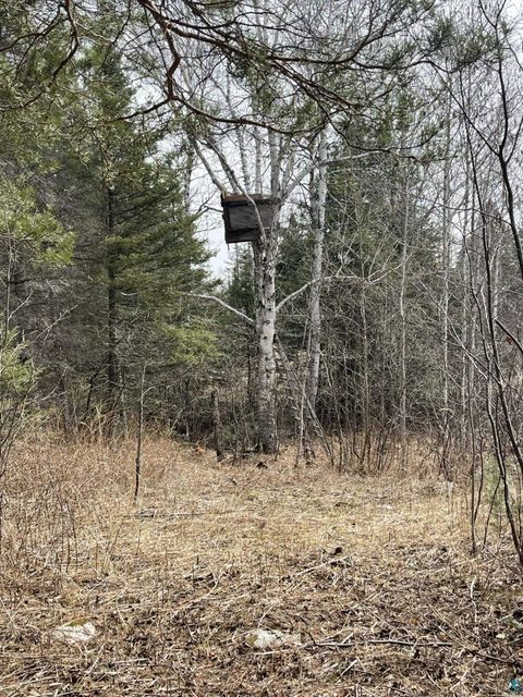 Tiny photo for 1572 Town Line Rd, Brimson, MN 55602 (MLS # 6125250)