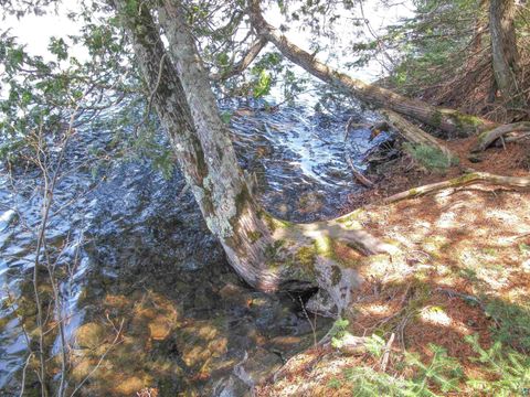 Tiny photo for 695 Loon Echo Ln, Grand Marais, MN 55604 (MLS # 6125611)