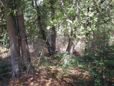 Tiny photo for 695 Loon Echo Ln, Grand Marais, MN 55604 (MLS # 6125611)