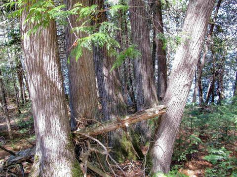Tiny photo for 695 Loon Echo Ln, Grand Marais, MN 55604 (MLS # 6125611)