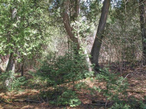 Tiny photo for 695 Loon Echo Ln, Grand Marais, MN 55604 (MLS # 6125611)