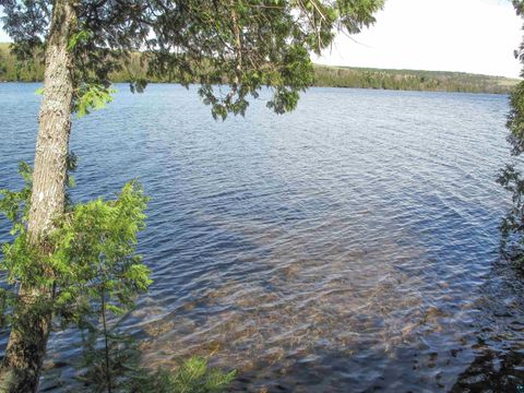 Tiny photo for 695 Loon Echo Ln, Grand Marais, MN 55604 (MLS # 6125611)
