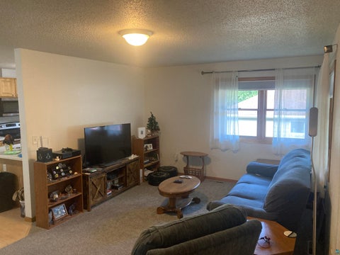 Tiny photo for 213 W Palm St #1, Duluth, MN 55811 (MLS # 6127548)