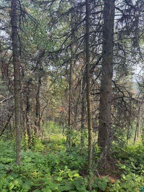 Tiny photo for XX High Ridge Dr, Schroeder, MN 55614 (MLS # 6125498)