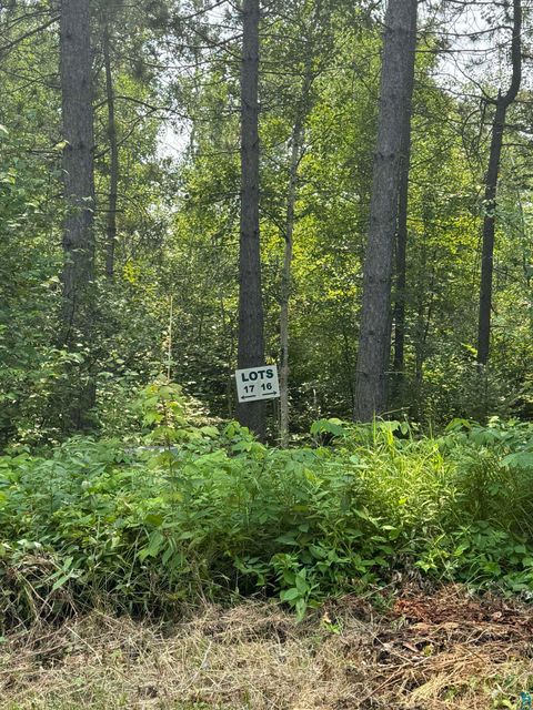Tiny photo for XX High Ridge Dr, Schroeder, MN 55614 (MLS # 6125498)