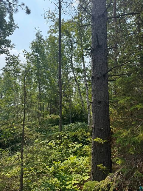 Tiny photo for XX High Ridge Dr, Schroeder, MN 55614 (MLS # 6125498)