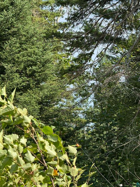 Tiny photo for XX High Ridge Dr, Schroeder, MN 55614 (MLS # 6125498)