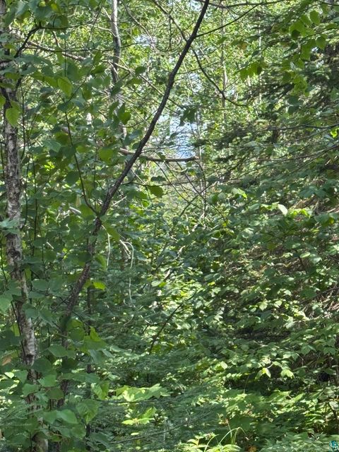 Tiny photo for XX High Ridge Dr, Schroeder, MN 55614 (MLS # 6125498)