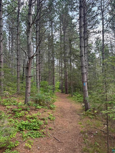 Tiny photo for XX High Ridge Dr, Schroeder, MN 55614 (MLS # 6125498)