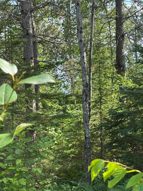 Tiny photo for XX High Ridge Dr, Schroeder, MN 55614 (MLS # 6125498)