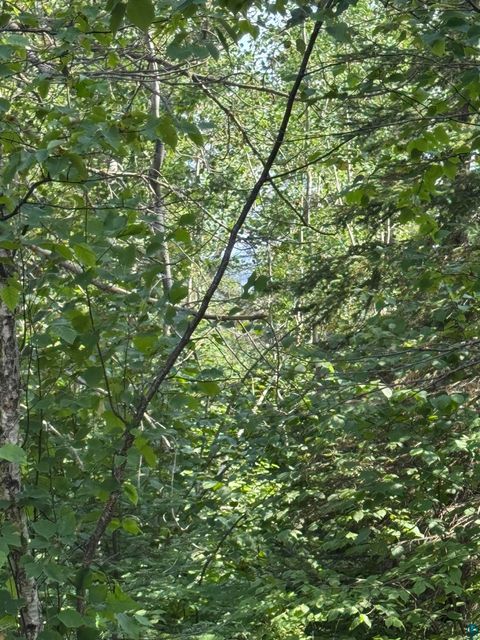 Tiny photo for XX High Ridge Dr, Schroeder, MN 55614 (MLS # 6125498)
