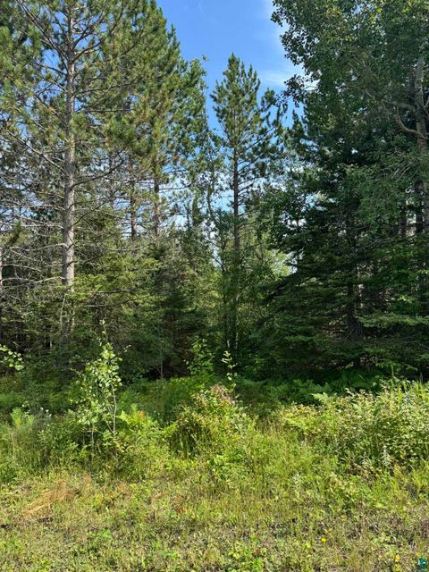 Tiny photo for XX High Ridge Dr, Schroeder, MN 55614 (MLS # 6125498)