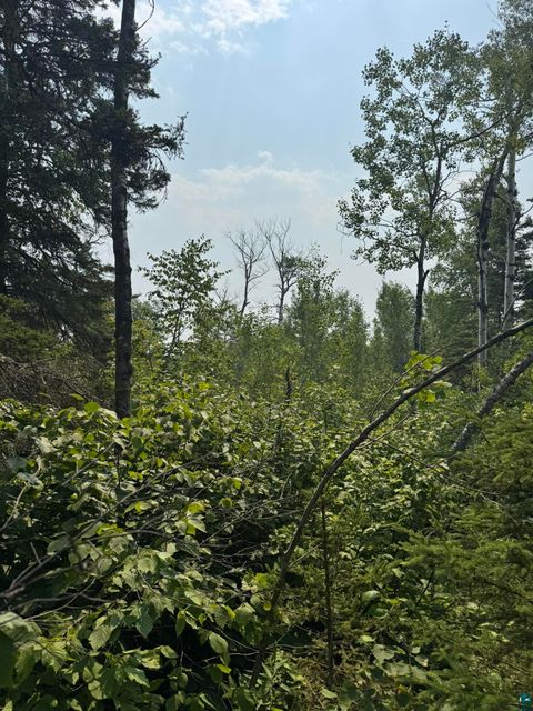 Tiny photo for XX High Ridge Dr, Schroeder, MN 55614 (MLS # 6125498)