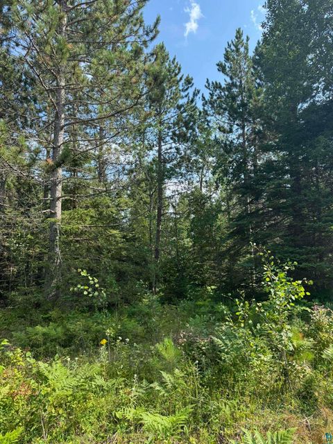 Tiny photo for XX High Ridge Dr, Schroeder, MN 55614 (MLS # 6125498)