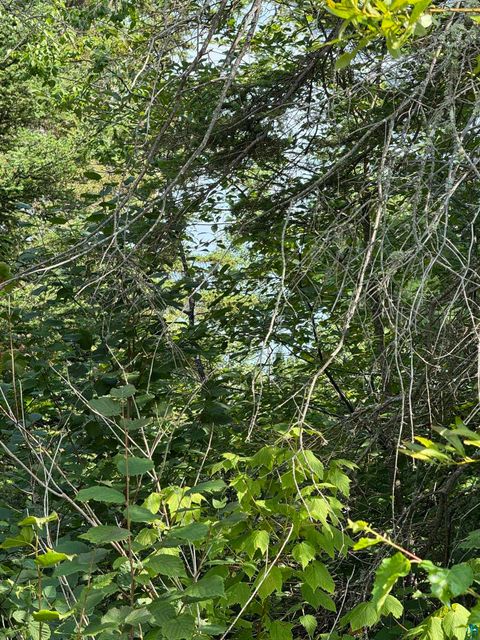 Tiny photo for XX High Ridge Dr, Schroeder, MN 55614 (MLS # 6125498)
